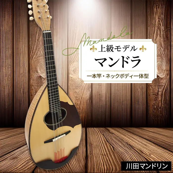 【上級モデル】マンドラ [No.293]