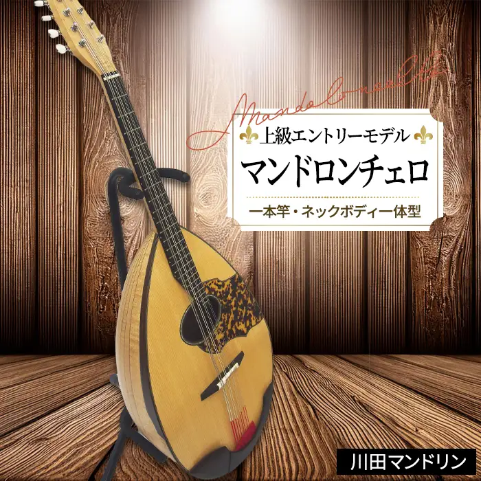 【上級エントリーモデル】マンドロンチェロ [No.294]