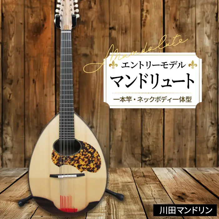 【エントリーモデル】マンドリュート [No.295]