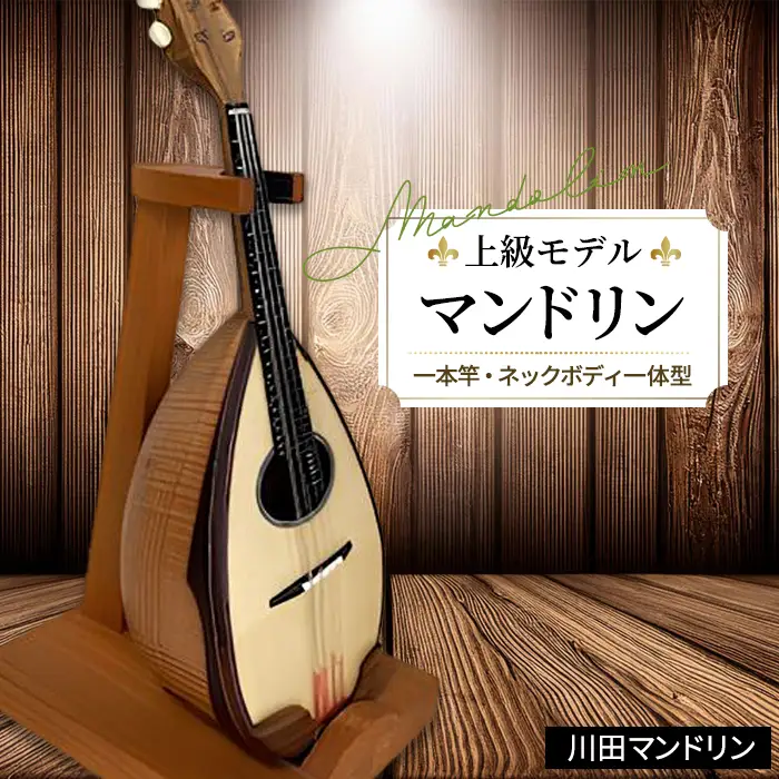 【上級モデル】マンドリン [No.296]