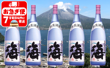 E5-25119／大海酒造　海　1800ml  5本セット