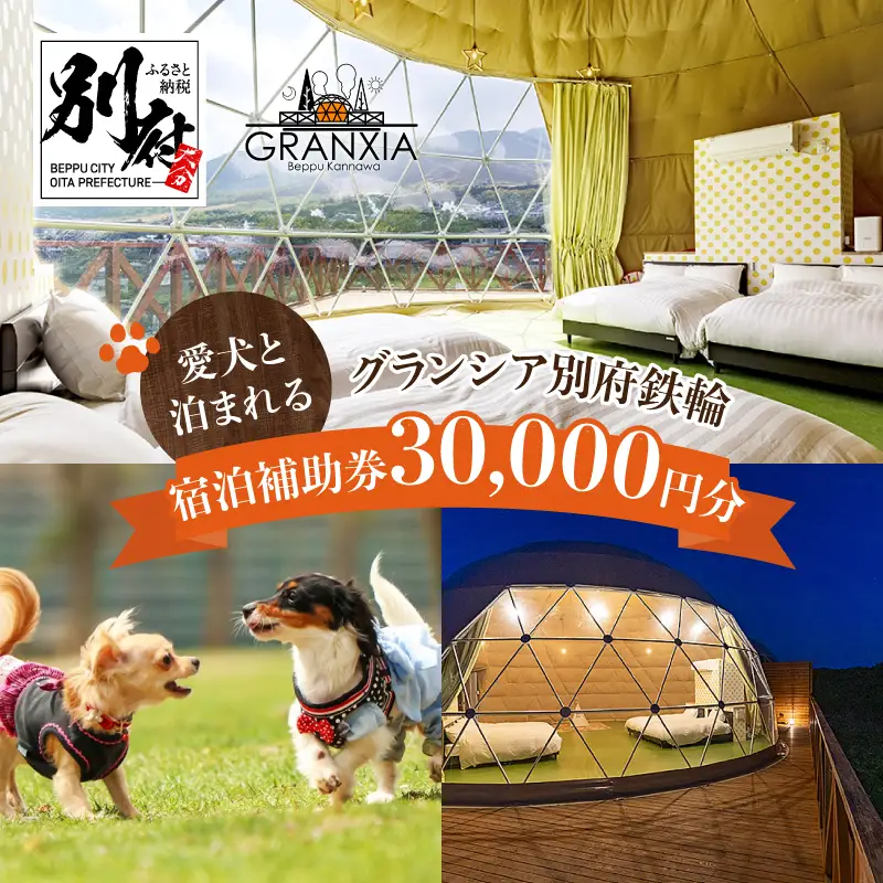 グランシア別府鉄輪　ふるさと納税宿泊補助券（30,000円分）_B050-001
