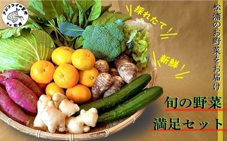 野菜【旬のお野菜大満足セット】道の駅松浦海のふるさと館【A8-040】