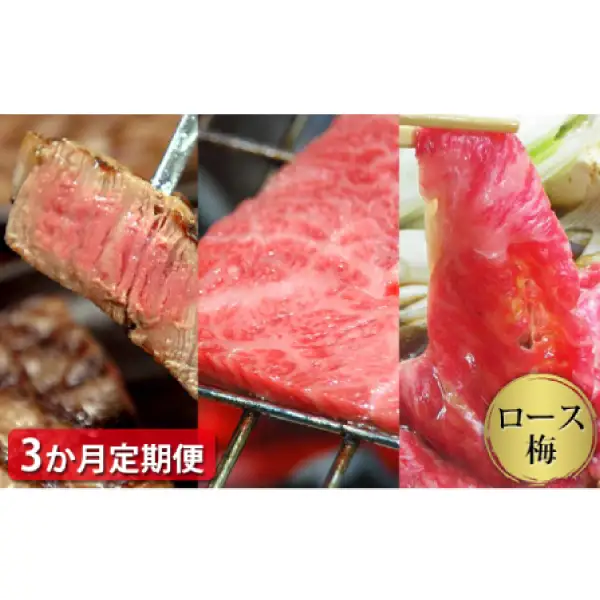 【定期便3ヶ月】石見和牛でちょっと贅沢！ロース定期便・梅（合計約1.7kg）焼肉用定期便 すき焼き用定期便 ステーキ用定期便