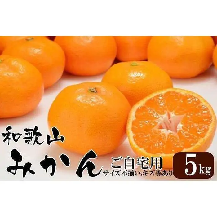 和歌山産 みかん 5kg ［ご自宅用・サイズ不揃い・キズ等あり］［ヤマタ大谷商店］