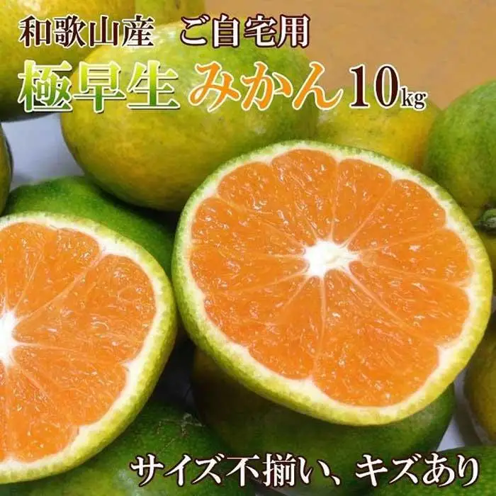 和歌山産 ［極早生］みかん 10kg ［ご自宅用・サイズ不揃い・キズ等あり］［ヤマタ大谷商店］
