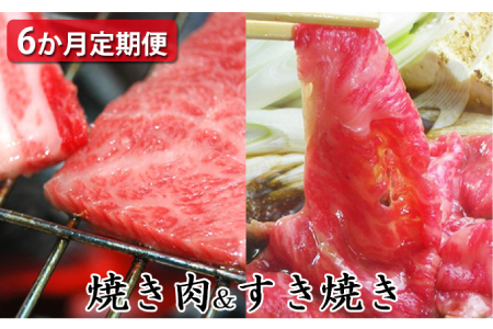 【定期便6ヶ月】石見和牛でちょっと贅沢！焼肉・すき焼き定期便（合計約2.6kg）