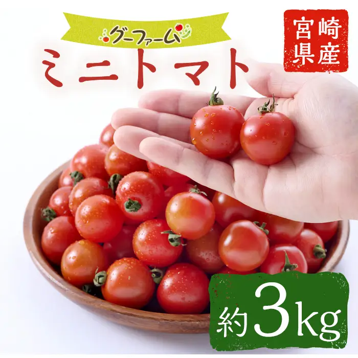 ＜期間限定＞ ミニトマト(約3kg)【GF-2】【グーファーム】 ミニトマト(約3kg)野菜 とまと フルーツトマト サマー千果 アイコ サラダ 【GF-2】【グーファーム】