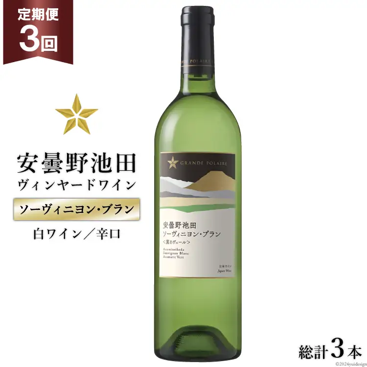 3回 定期便 白ワイン サッポロ グランポレール 安曇野池田ヴィンヤード「ソーヴィニヨン・ブラン」750ml 総計3本 [ナチュラルマルシェ ソヨソヨ 長野県 池田町 48110864]