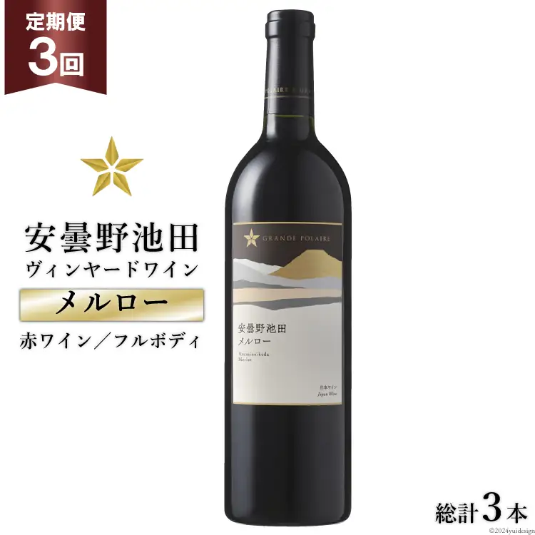 3回 定期便 赤ワイン サッポロ グランポレール 安曇野池田ヴィンヤード「メルロー」750ml 総計3本 [ナチュラルマルシェ ソヨソヨ 長野県 池田町 48110867] 