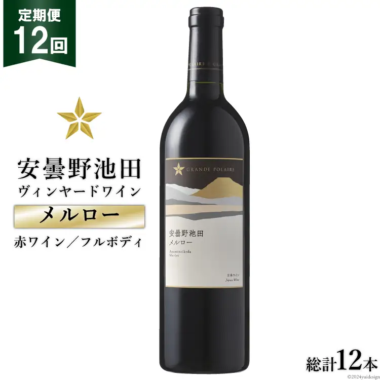 12回 定期便 赤ワイン サッポロ グランポレール 安曇野池田ヴィンヤード「メルロー」750ml 総計12本 [ナチュラルマルシェ ソヨソヨ 長野県 池田町 48110869]