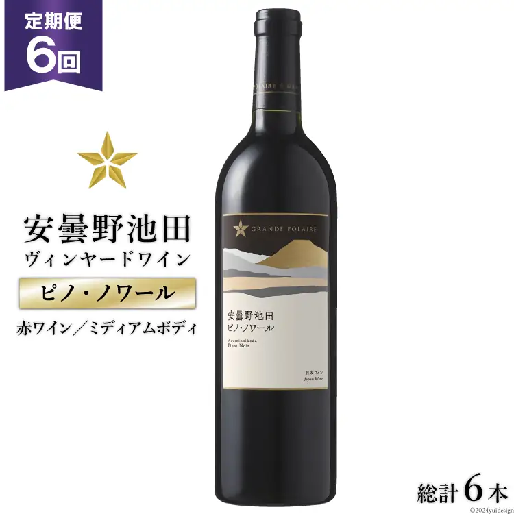6回 定期便 赤ワイン サッポロ グランポレール 安曇野池田ヴィンヤード「ピノ・ノワール」750ml 総計6本 [ナチュラルマルシェ ソヨソヨ 長野県 池田町 48110871]