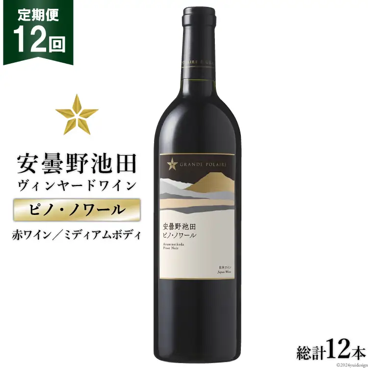 12回 定期便 赤ワイン サッポロ グランポレール 安曇野池田ヴィンヤード「ピノ・ノワール」750ml 総計12本 [ナチュラルマルシェ ソヨソヨ 長野県 池田町 48110872]