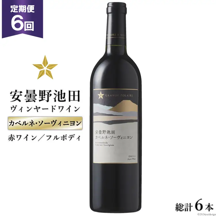 6回 定期便 赤ワイン サッポロ グランポレール 安曇野池田ヴィンヤード「カベルネ・ソーヴィニヨン」750ml 総計6本 [ナチュラルマルシェ ソヨソヨ 長野県 池田町 48110874]