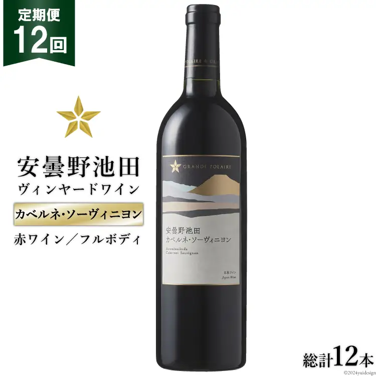 12回 定期便 赤ワイン サッポロ グランポレール 安曇野池田ヴィンヤード「カベルネ・ソーヴィニヨン」750ml 総計12本 [ナチュラルマルシェ ソヨソヨ 長野県 池田町 48110875] 