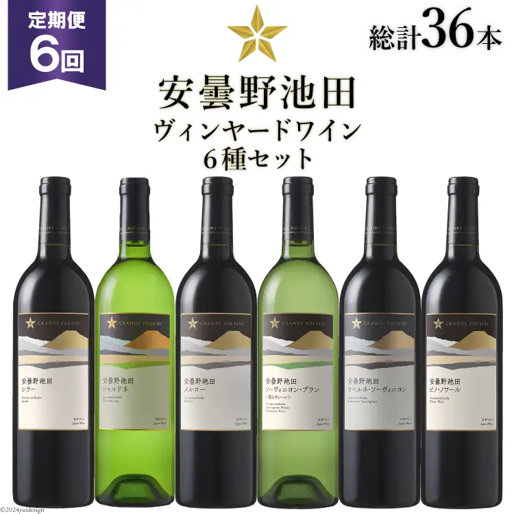 6回 定期便 ワイン セット サッポロ グランポレール 安曇野池田ヴィンヤード 6種 各750ml 総計36本 飲み比べ [ナチュラルマルシェ ソヨソヨ 長野県 池田町 48110877] 