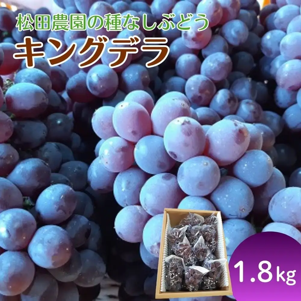 松田農園の種なしぶどう「キングデラ」１.８ｋｇ　0057-2602