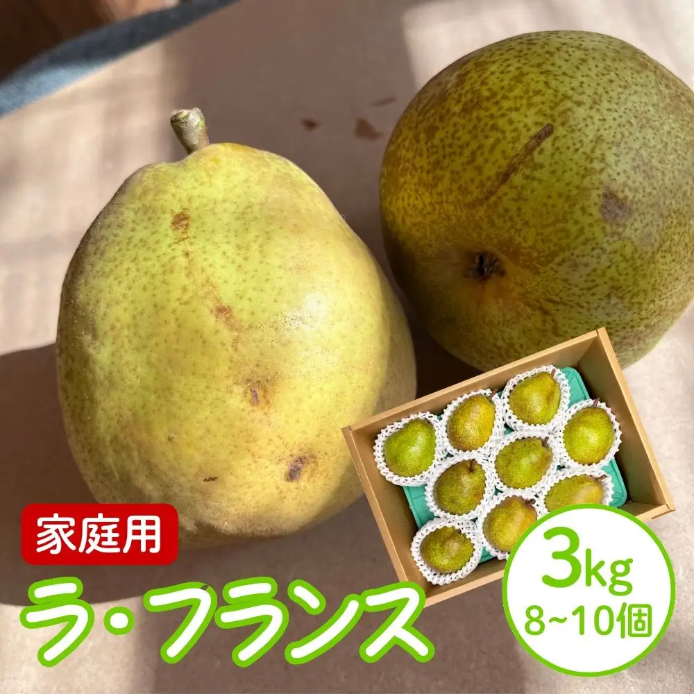 西洋梨（ラ・フランス）３ｋｇ　ご家庭用　0065-2607