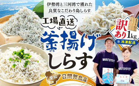 訳あり 釜揚げしらす 1kg 冷凍 愛知県南知多町 日間賀島