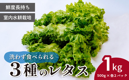 3種のレタス 各500g×2パック 1kg | レタス
