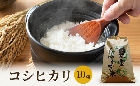 米 令和8年産 特A コシヒカリ 10kg 白米 精米 単一原料米 ブランド米 高評価