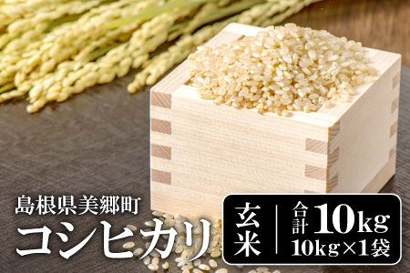 〈先行予約〉新米 令和6年産 美郷町産コシヒカリ 玄米 10kg【お米 10kg 1袋 玄米 ブランド米 米 こしひかり お米 先行予約 2024年産】