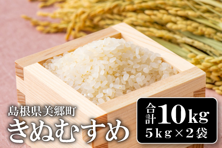 美郷町産きぬむすめ 10kg【お米 10kg 5kg×2袋 精米 白米 ブランド米 米 きぬむすめ お米】