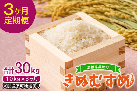 【定期便3ヶ月】美郷町産 きぬむすめ 10kg【定期便 3回定期 米 お米 精米 白米 ブランド米 きぬむすめ 5kg×2袋 10kg×3回 合計30kg 】