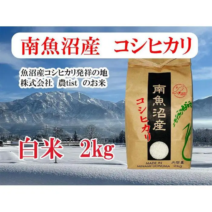 【令和7年産】【南魚沼産】コシヒカリ 白米2kg【銘柄米 ブランド米 精米 こしひかり コシヒカリ 魚沼産 新潟米 産地直送 お米 米 こめ コメ ご飯 御飯 ごはん】