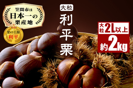 生栗 2kg 利平 栗 くり 国産  2L サイズ 以上 大きい 大粒 取り寄せ 笠間 茨城 和栗 甘栗 低温熟成 ギフト プレゼント 秋 旬 おやつ スイーツ 果物 フルーツ 焼き栗 栗ご飯 栗きんとん 栗おこわ 冷蔵 栗生産量 日本一 いばらき AH-006