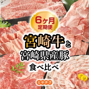 【6ヶ月定期便】宮崎牛と宮崎県産豚食べ比べ N0147-YG0247