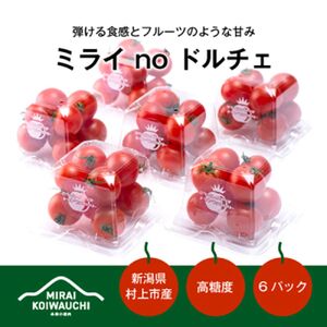 A4151 【数量・期間限定】【7月上旬から順次発送】『ミライ no ドルチェ』 新潟県村上産ミニトマト