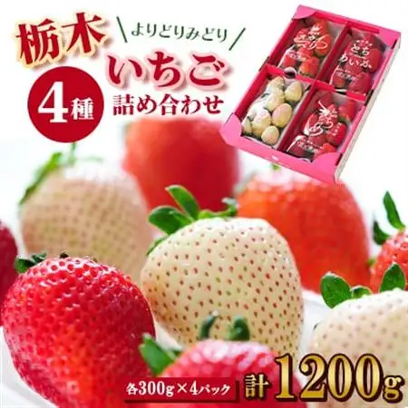 【春いちご 】栃木のいちご4種詰め合わせセット!(300g×4パック)_果物・フルーツ いちご  イチゴ 苺_【配送不可地域：離島】【1290961】