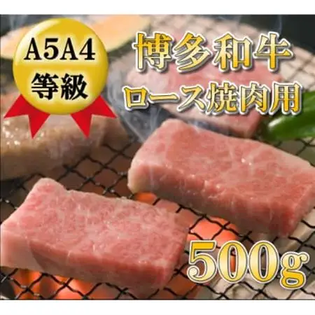 【A5A4等級使用】博多和牛ロース焼肉用500g(大牟田市)_肉 焼肉 牛肉 やきにく ヤキニク バーベキュー_【配送不可地域：離島】【1288268】