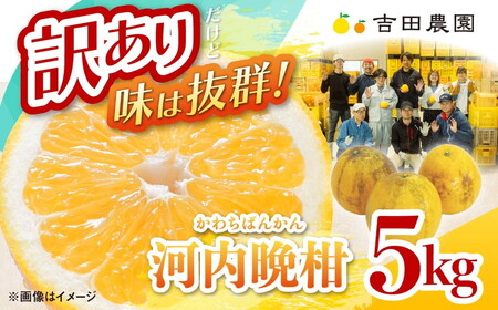 訳あり 河内晩柑5kg（家庭用） ＜ 柑橘 希少 果物 国産 フルーツ みかん 蜜柑 訳あり 家庭用 和製 グレープフルーツ ブランド 愛媛 果実 ビタミン ＞　※2026年4月上旬～8月上旬頃に順次発送予定