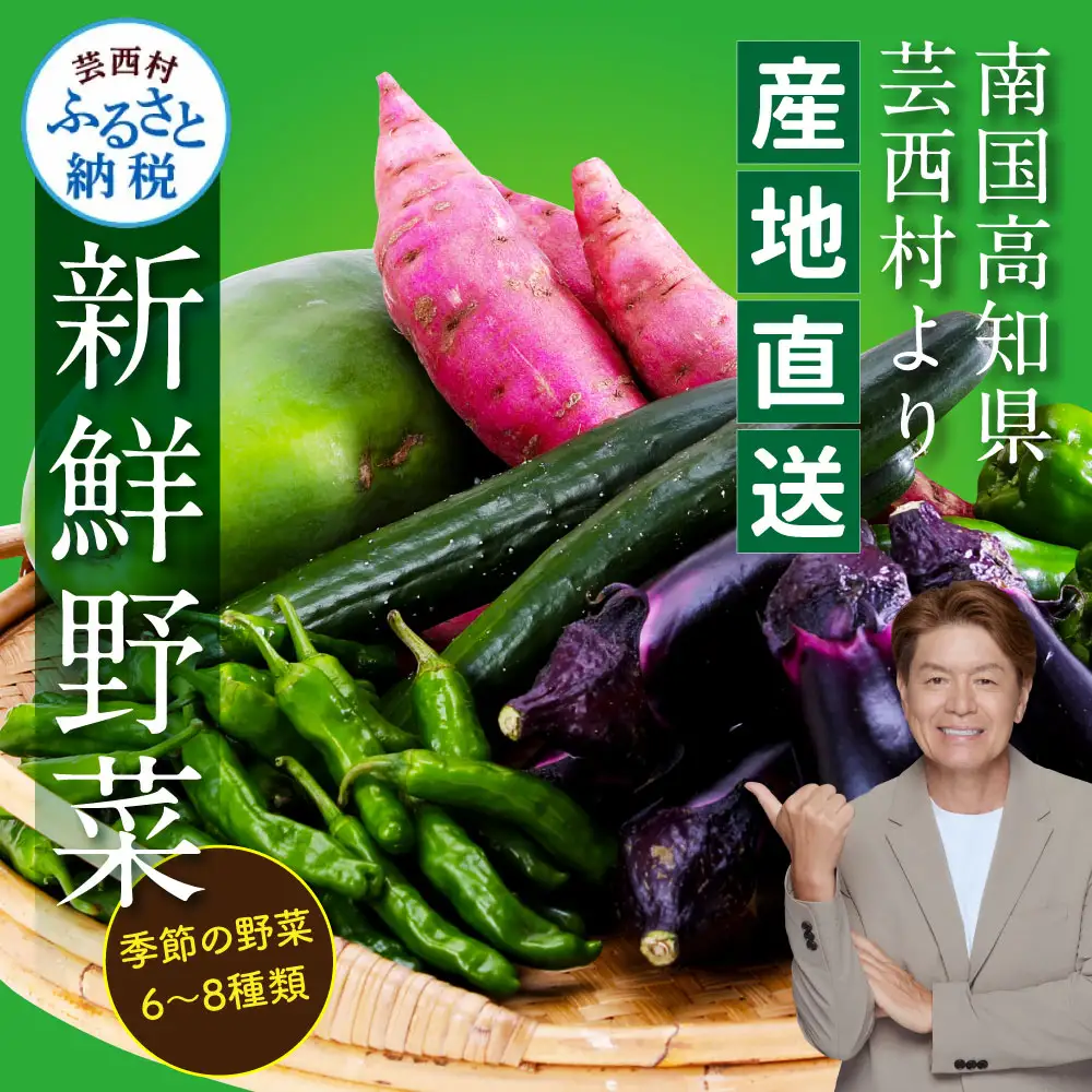 朝どれ！野菜の詰合せ／芸西村で採れた新鮮な野菜6～8種類をお届けします。