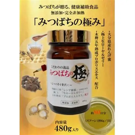 みつばちの極み480g入_惣菜・加工品   _【配送不可地域：離島】【1291549】