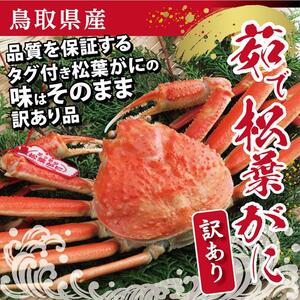 鳥取県産 浜茹で松葉がに 特大(訳あり)【中村商店】