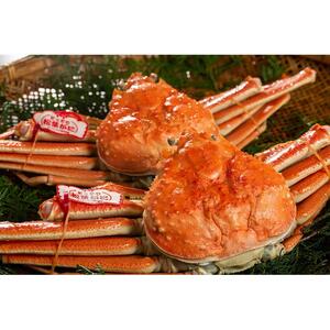 鳥取県産 浜茹で松葉がに 特大2枚(タグ付)【中村商店】