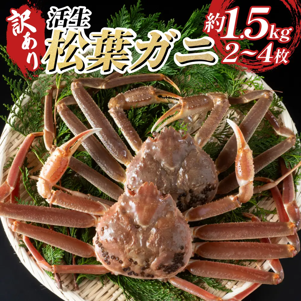 【22010-2】訳あり松葉がに（生）※お届けは2026年11月中旬～
