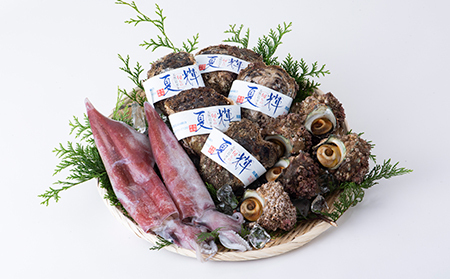 【21003】白イカ・サザエ・岩ガキセット