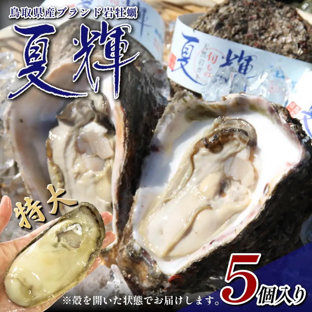 【21004】夏輝（岩ガキ）