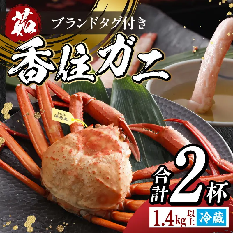 高評価☆4.7 香住ガニ タグ付き 1.4kg 【令和8年5月以降発送予定】カニ かに 19-13
