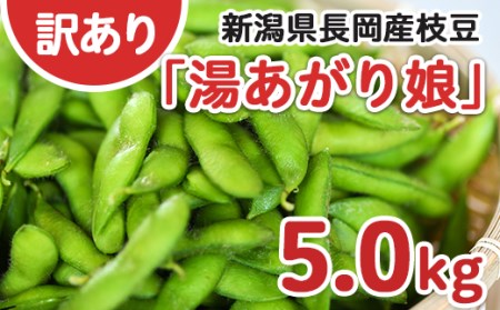75E-BY5A【訳あり】新潟長岡産枝豆湯あがり娘5.0kg【B品】