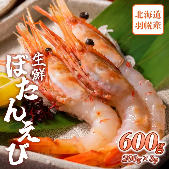 超速リキッド凍結でドリップゼロ！北海道羽幌産生鮮ぼたんえび 600g（200g×3パック）【0311801】