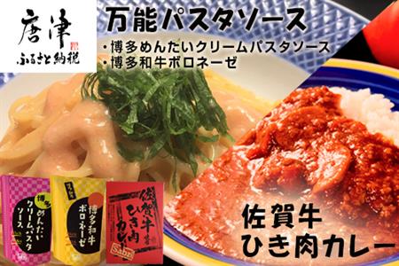 佐賀牛ひき肉カレー(180g×3食)と万能パスタソース(博多めんたいクリームパスタソース120g×3袋・博多和牛ボロネーゼ120g×3袋)セット 簡単 レトルト スパゲッティ