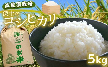 深土の特別米コシヒカリ(5kg)