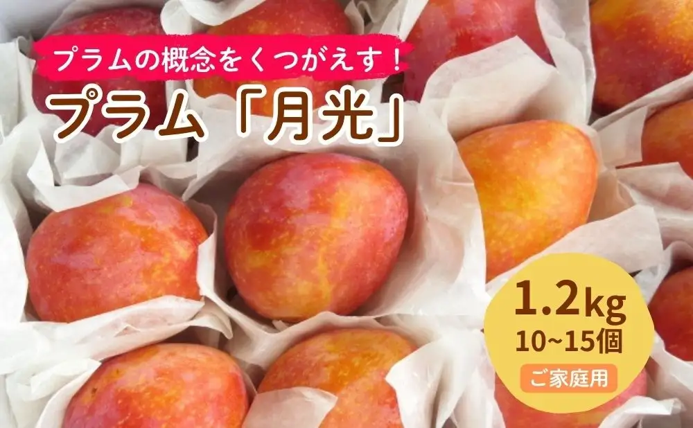 プラム（月光）１.２ｋｇ　ご家庭用　0075-2603