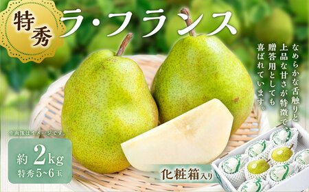 山形おきたま産 ラ・フランス （特秀） 5玉～6玉（約2kg） 【化粧箱入り】 山形県産 フルーツ 果物 【2026年11月上旬～12月上旬発送予定】