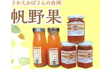 みかん狩りもできる！南農園お買い物券（3000円分）